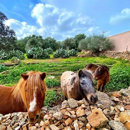 Finca Agroturismo Sa Cova Den Borino Campos  Exteriör bild