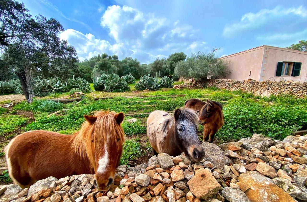 Finca Agroturismo Sa Cova Den Borino Campos  Exteriör bild