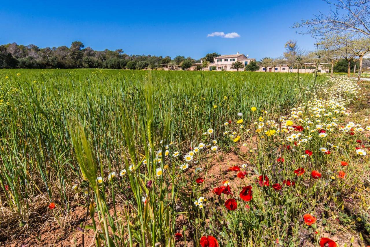 Finca Agroturismo Sa Cova Den Borino Campos  Exteriör bild
