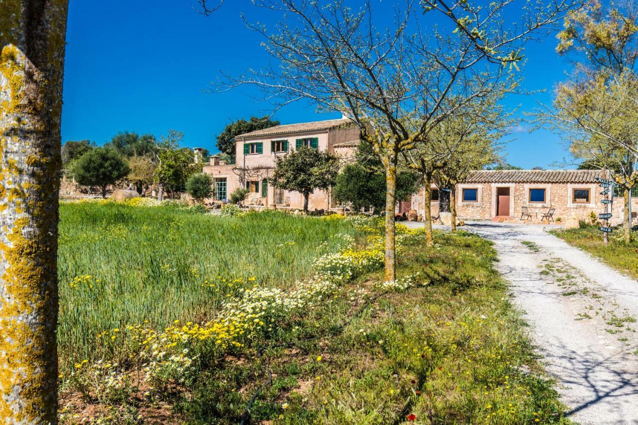 Finca Agroturismo Sa Cova Den Borino Campos  Exteriör bild