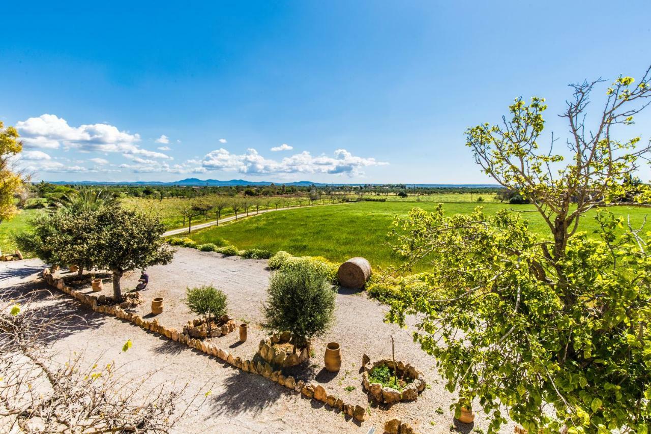 Finca Agroturismo Sa Cova Den Borino Campos  Exteriör bild