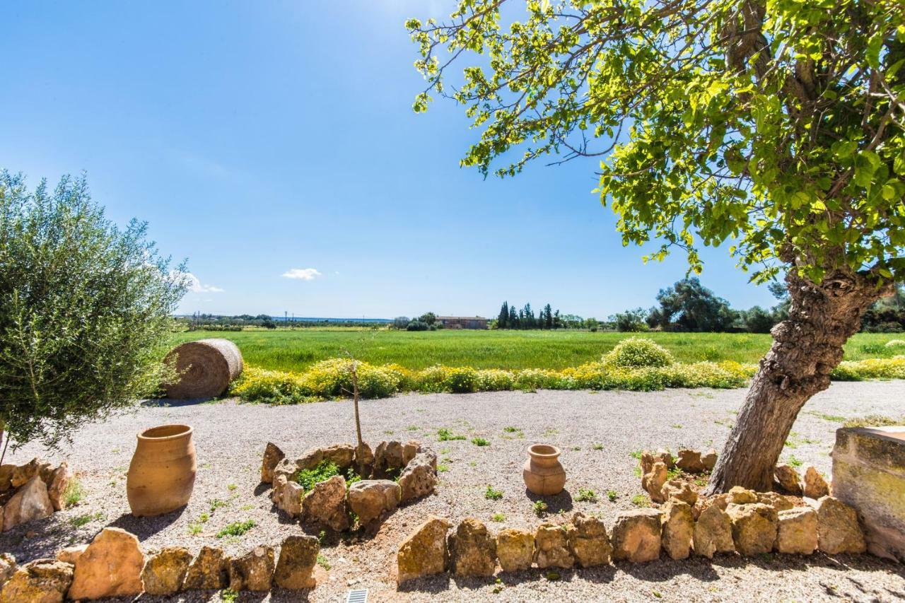Finca Agroturismo Sa Cova Den Borino Campos  Exteriör bild