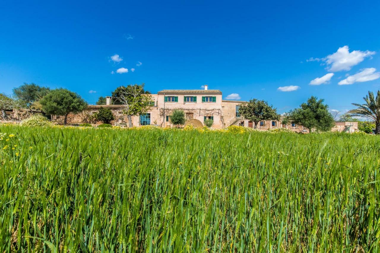 Finca Agroturismo Sa Cova Den Borino Campos  Exteriör bild