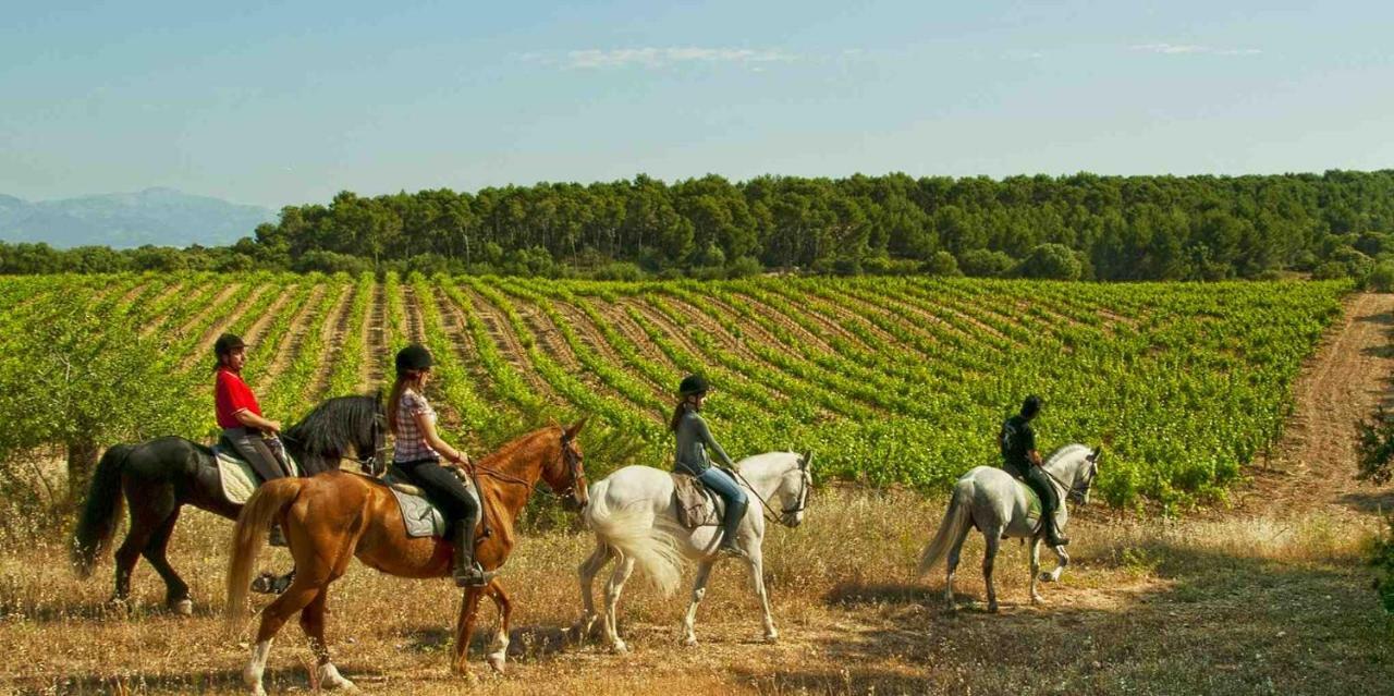 Finca Agroturismo Sa Cova Den Borino Campos  Exteriör bild