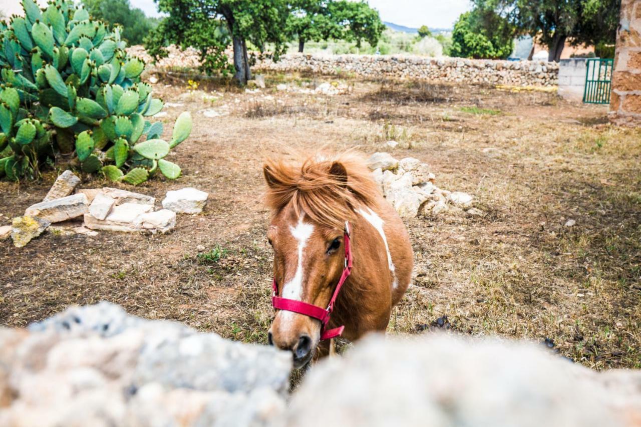 Finca Agroturismo Sa Cova Den Borino Campos  Exteriör bild